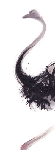 作品イメージ